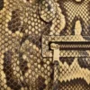 Little Luggage in Python Little Luggage in Python